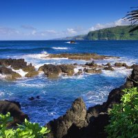 Aparatamentos Bons e Baratos Para Alugar em MauÃ­ no Havai