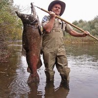 Os 10 Maiores Bichos JÃ¡ Pescado no Mundo