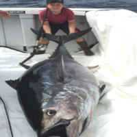 Menino Canadense de 10 Anos Pesca Atum de 220 KG