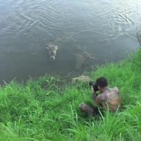 Homem Escapa Por Pouco de um Ataque de Crocodilo