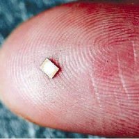 Microchip Será Obrigatório nos EUA Até Março de 2013