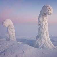 Sentinelas do Ártico