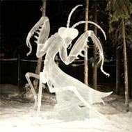 12 Lindas Esculturas no Gelo