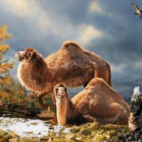 FÃ³ssil de Camelo Gigante no Ãrtico